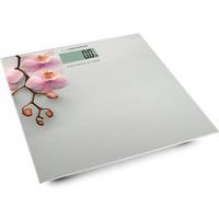  ESPERANZA EBS010 Scales Orchid в Ноутбукер.ua