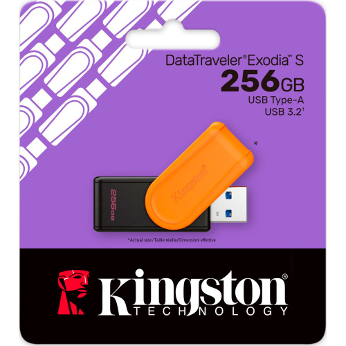 Флеш-накопичувач KINGSTON DTXS/256GB в Ноутбукер.ua фото 3