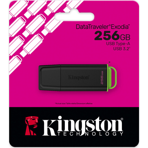 Флеш-накопичувач KINGSTON DTXG2/256GB в Notebooker.ua фото 5
