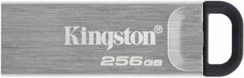 USB флеш накопичувач KINGSTON DTKN/256GB в Ноутбукер.ua фото 3