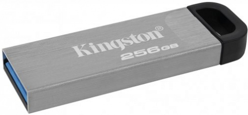 USB флеш накопичувач KINGSTON DTKN/256GB в Ноутбукер.ua фото 4
