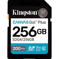  KINGSTON SDG4/256GB в Notebooker.ua