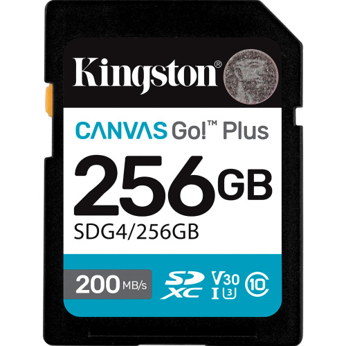  KINGSTON SDG4/256GB в Ноутбукер.ua