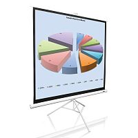 Проекційний екран ELITE SCREENS T85NWS1 в Ноутбукер.ua